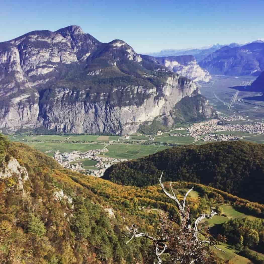 I Vini del Trentino Cantina De Vigili vendita online a prezzi competitivi su www.finetaste.it